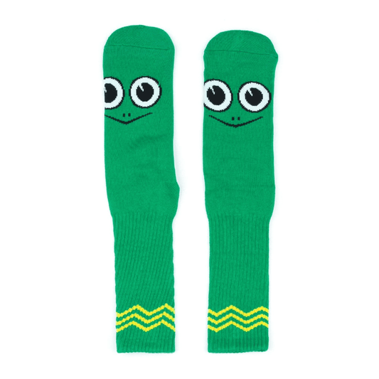 Toy Machine Turtle boy socks